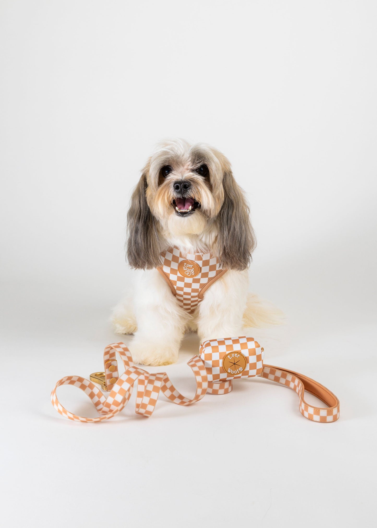 Check Me Out Adjustable Harness