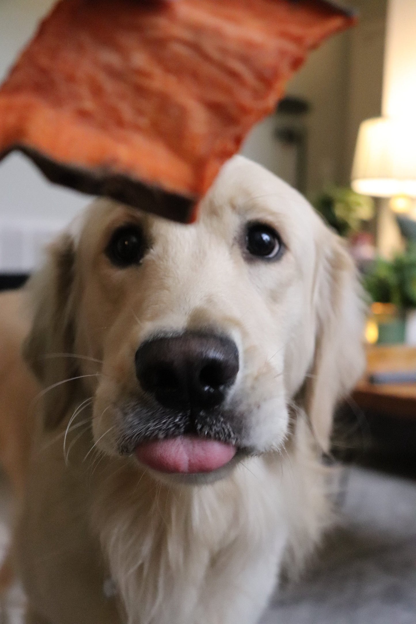 Sweet Potato Chews - Doot's Pet LLC Collars For A Cause