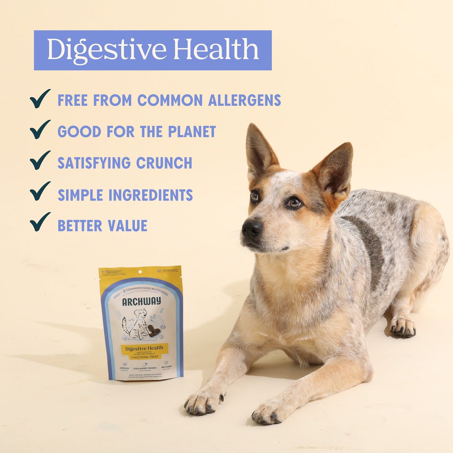 Digestive Health - Doot's Pet LLC Collars For A Cause
