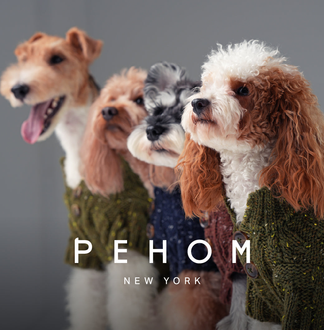 GLACIER PET SWEATER - BURGUNDY