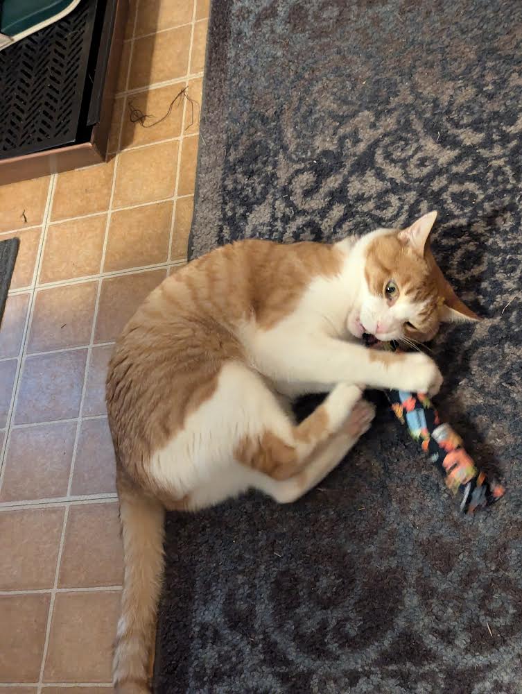 Scrap Fabric Catnip Toys