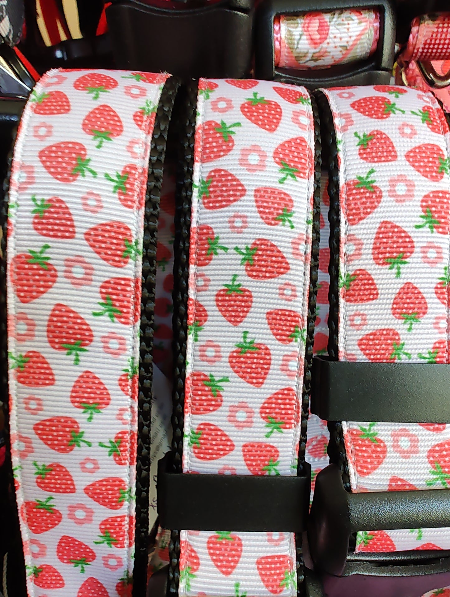 Strawberry Flowers Black Nylon Dog Collar MD, LG, XL, Leash - Doot's Pet LLC Collars For A Cause