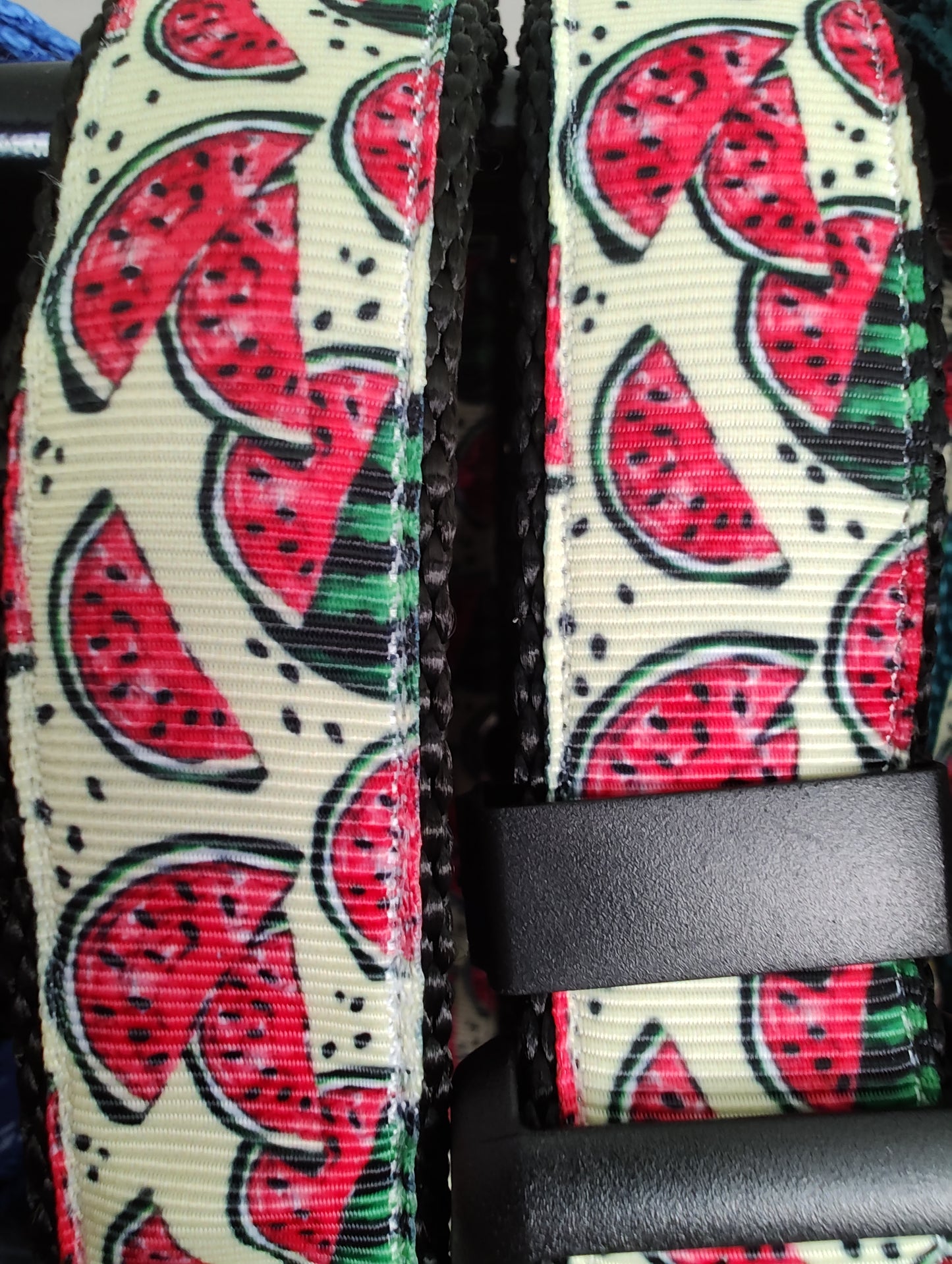 Watermelon Black Nylon Dog Collar MD, LG, XL, Leash - Doot's Pet LLC Collars For A Cause
