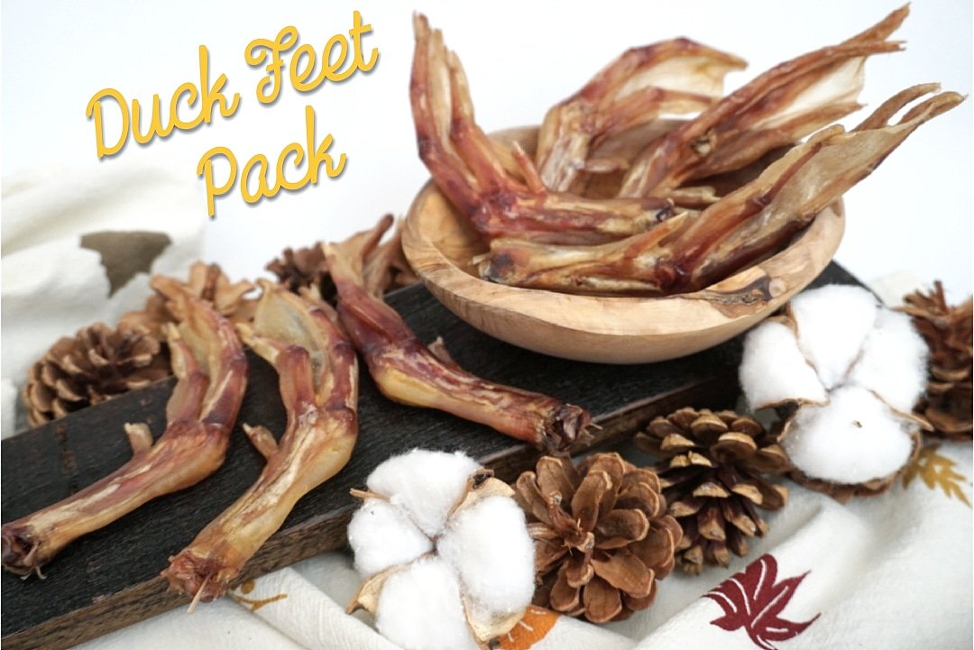 Duck Feet (ABF) - Doot's Pet LLC Collars For A Cause