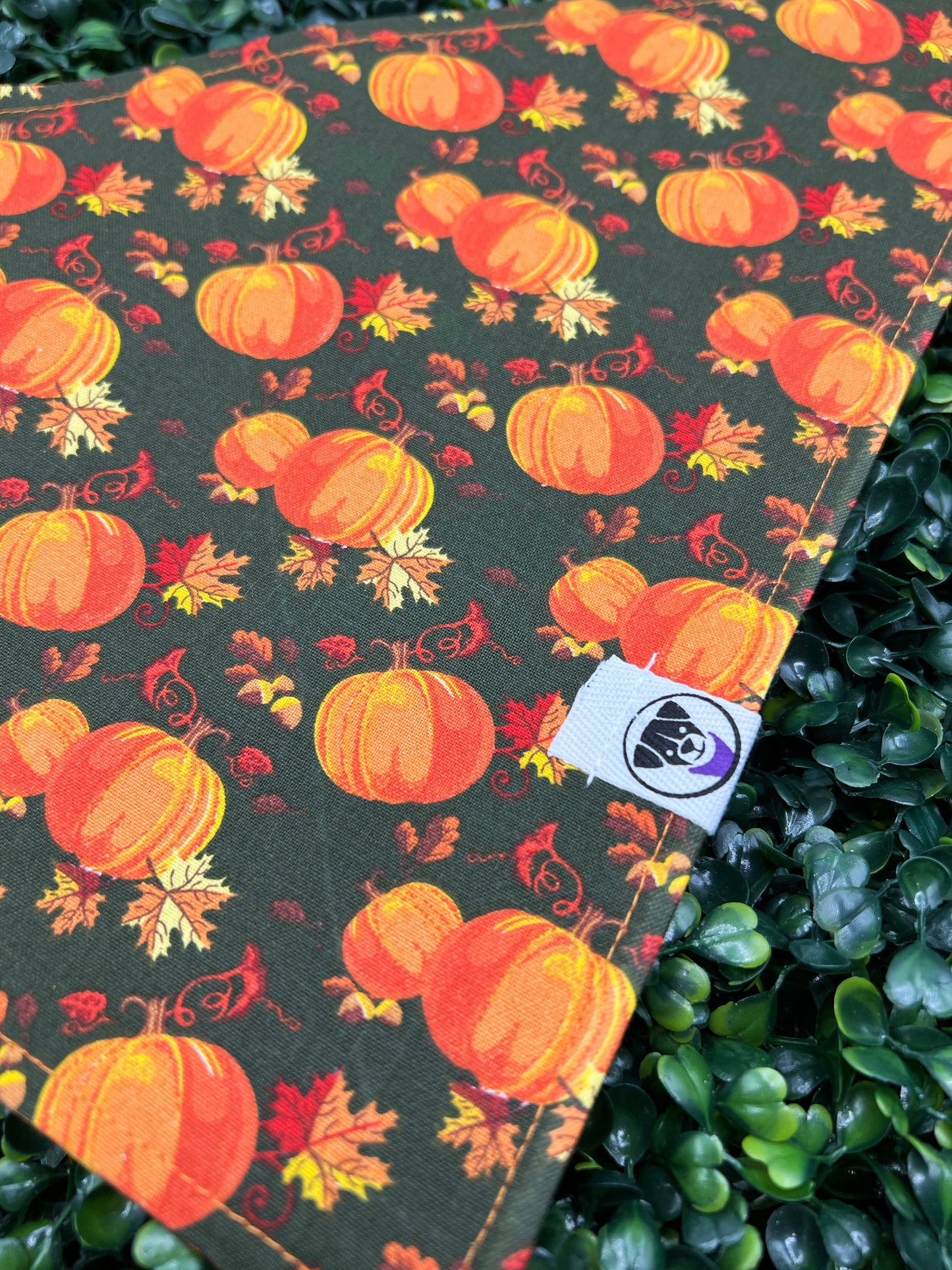 Pumpkin Patch Bandana
