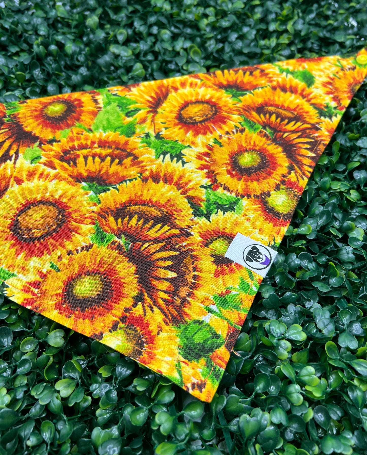 Burst of Sunflowers Bandana