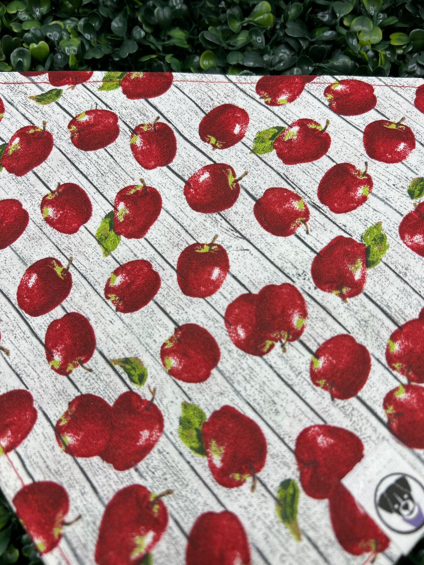 Apples To Apples Bandana