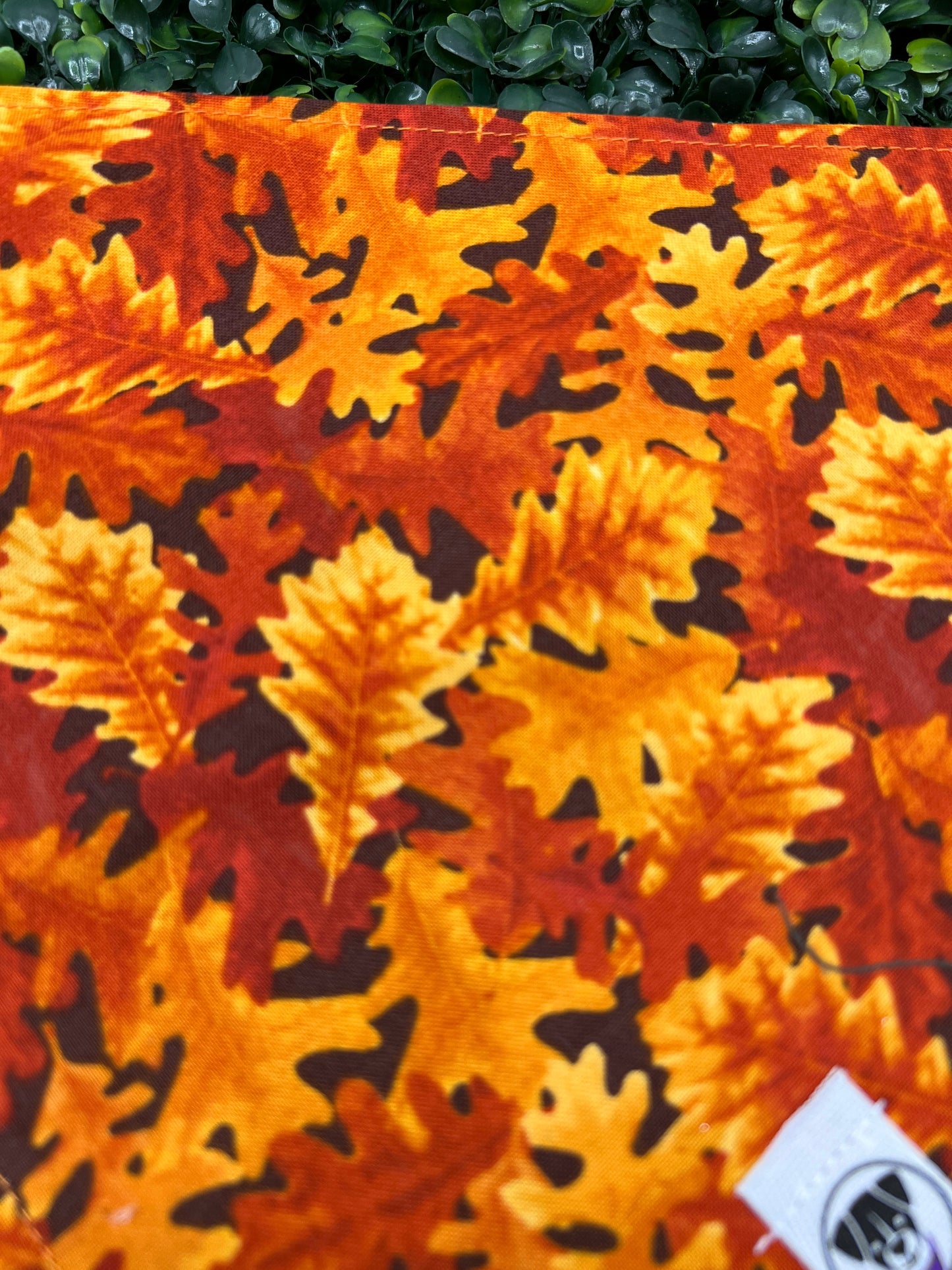 Oak Leaf Pile Bandana