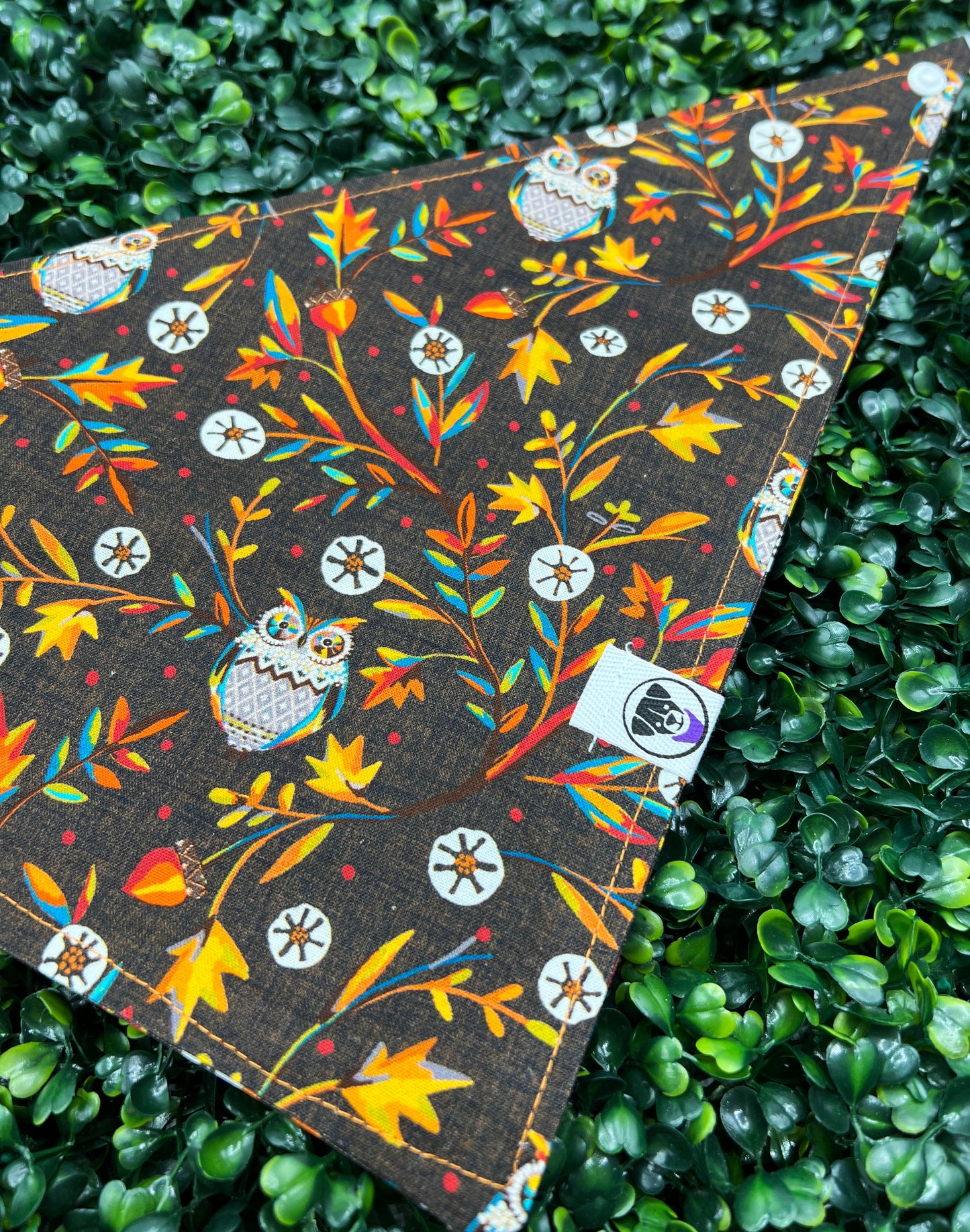 Wise Owl Bandana