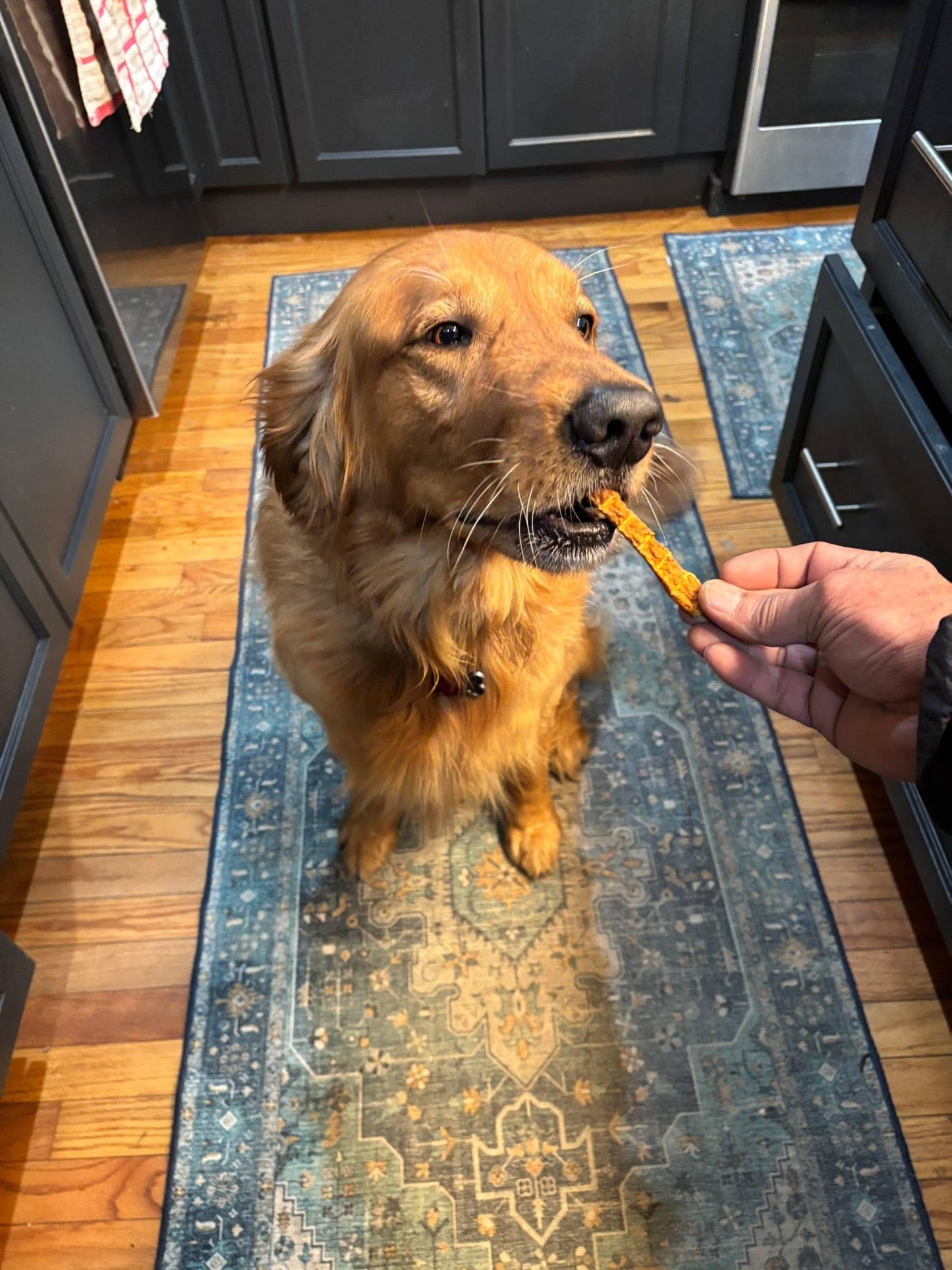 Turkey Pumpkin Jerky