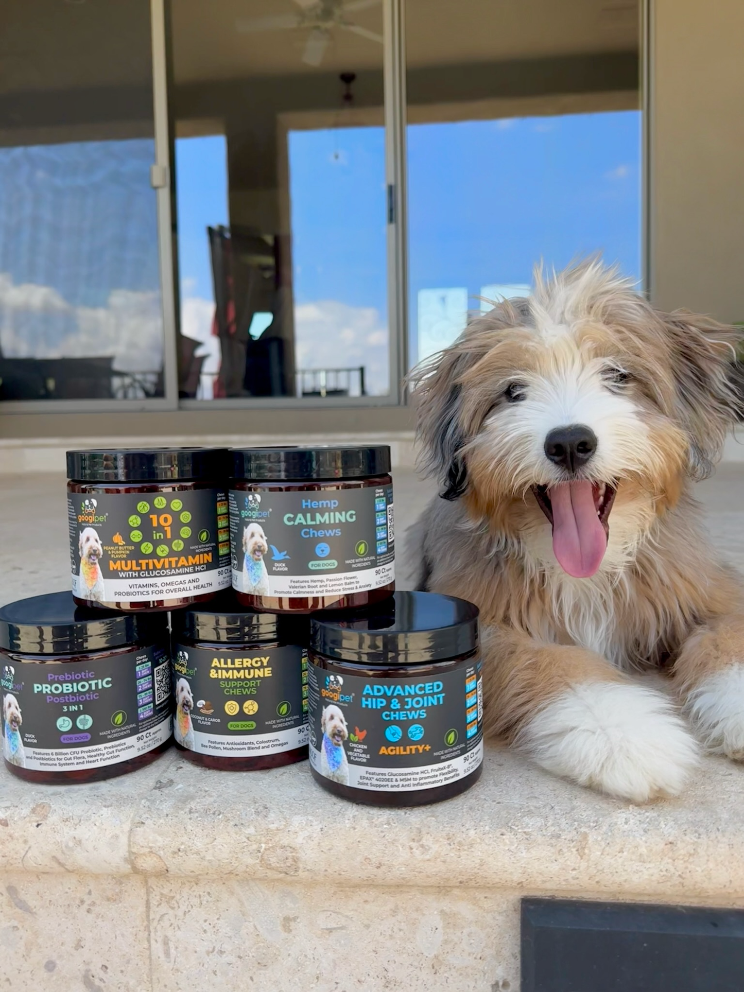 Allergy & Immune Support Chews for Dogs (Peanut Butter Flavor)