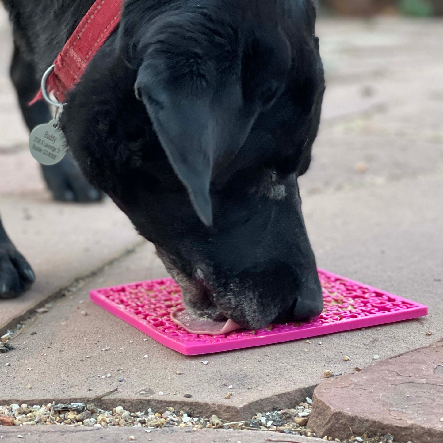 Jigsaw Puzzle eMat - Enrichment Lick Mat for Dogs and Cats | eMat Enrichment Toy for Anxiety Relief | USA Made - Doot's Pet LLC Collars For A Cause