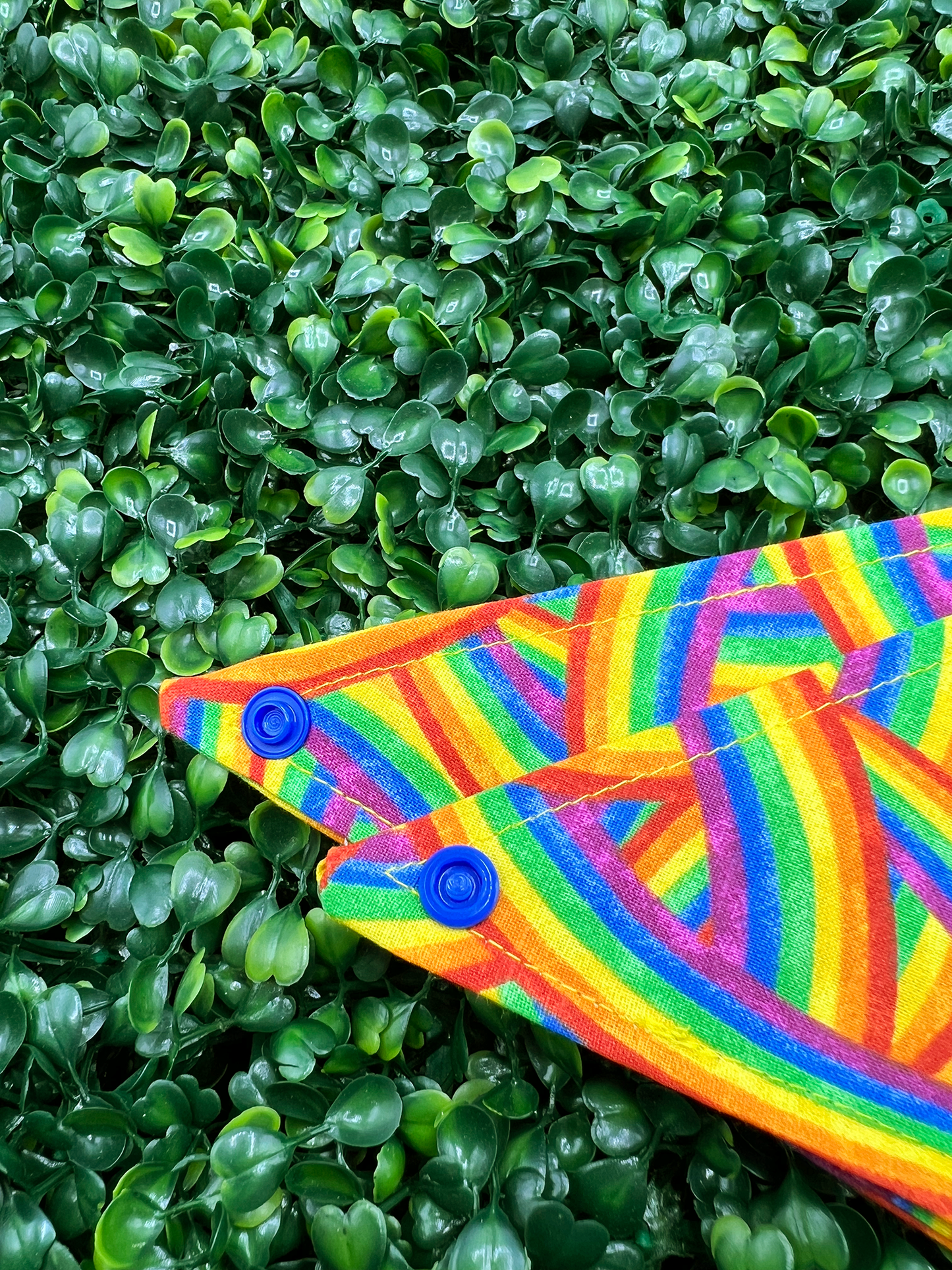 Rainbow All Over Bandana