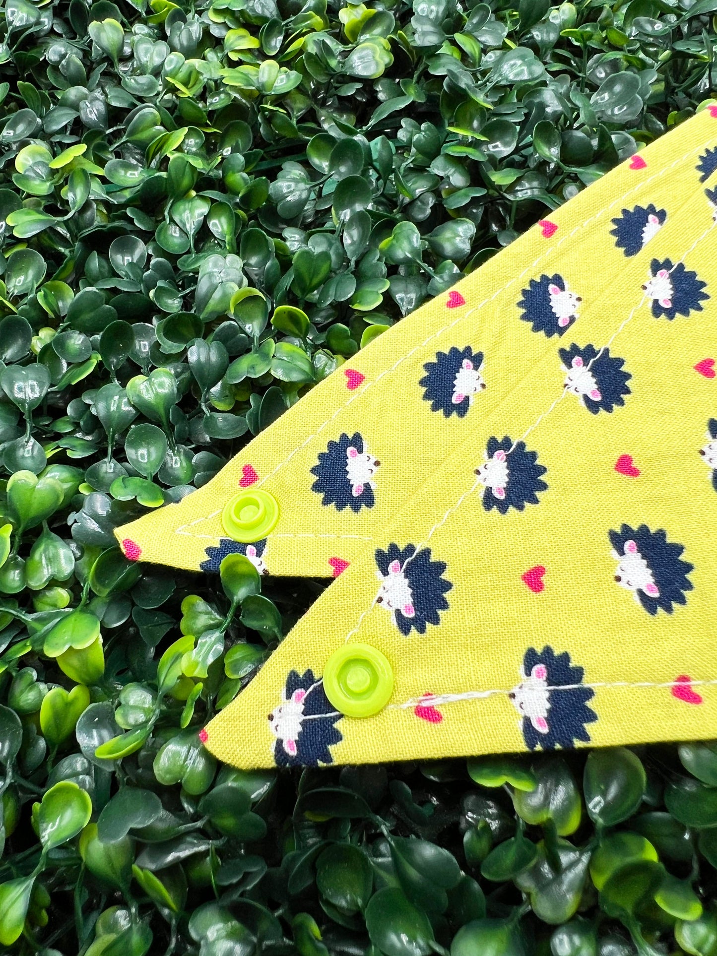 Hedgies and Hearts Bandana