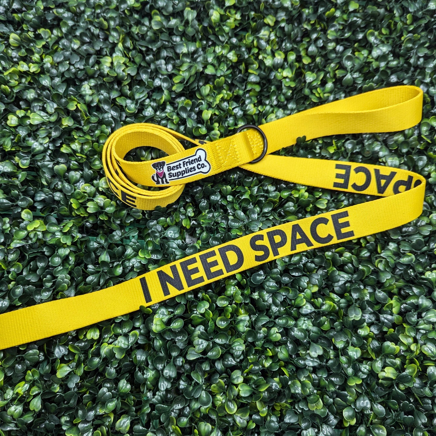 I Need Space Leash