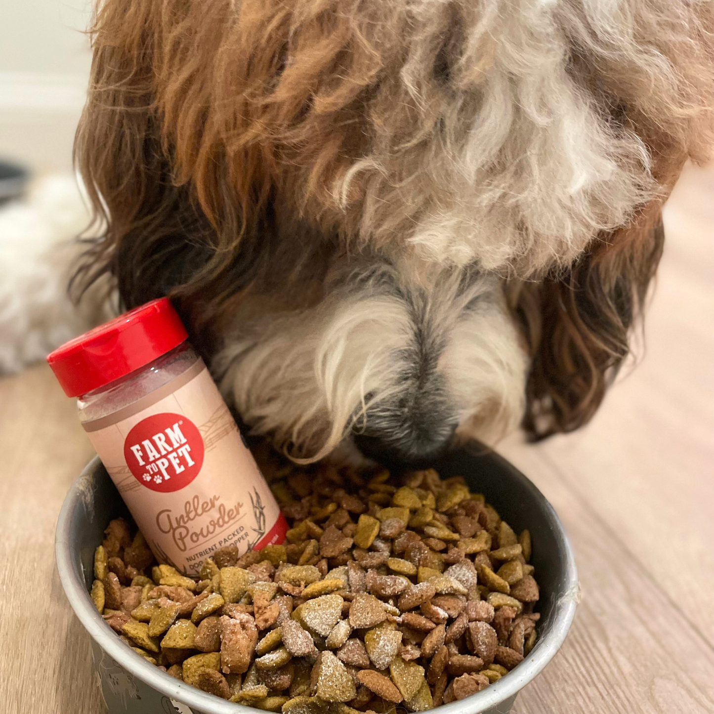 Treat Topper Antler Powder Dog Food Topper | Nutritional Supplement for Dogs and Cats