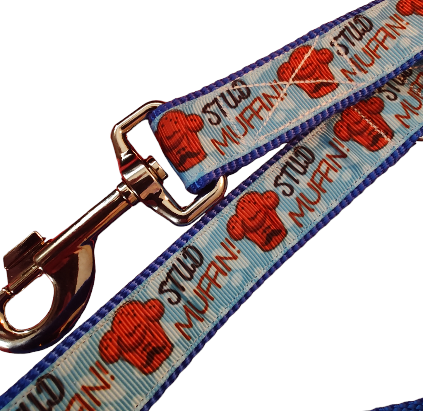 Stud Muffin Blue Nylon Dog Collar MD, LG, XL, Leash - Doot's Pet LLC Collars For A Cause