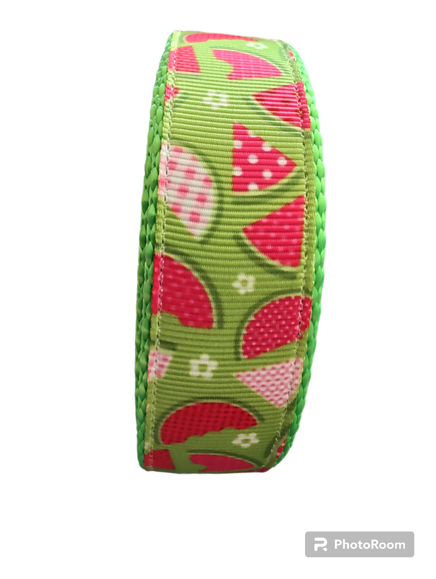 Watermelon Picnic Neon Green Nylon Dog Collar MD, LG, XL, Leash - Doot's Pet LLC Collars For A Cause
