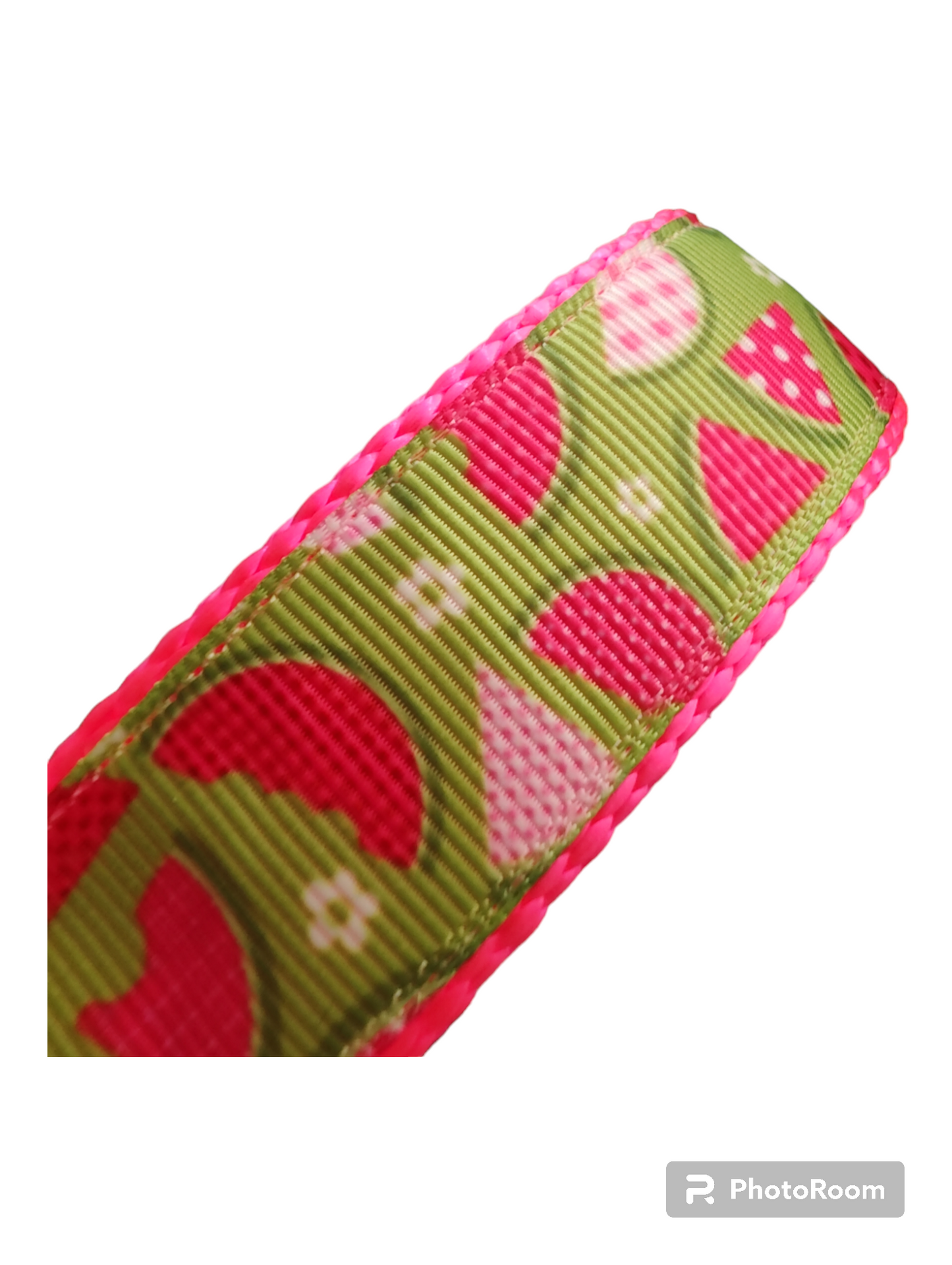 Watermelon Picnic Hot Pink Nylon Dog Collar MD, LG, XL, Leash - Doot's Pet LLC Collars For A Cause