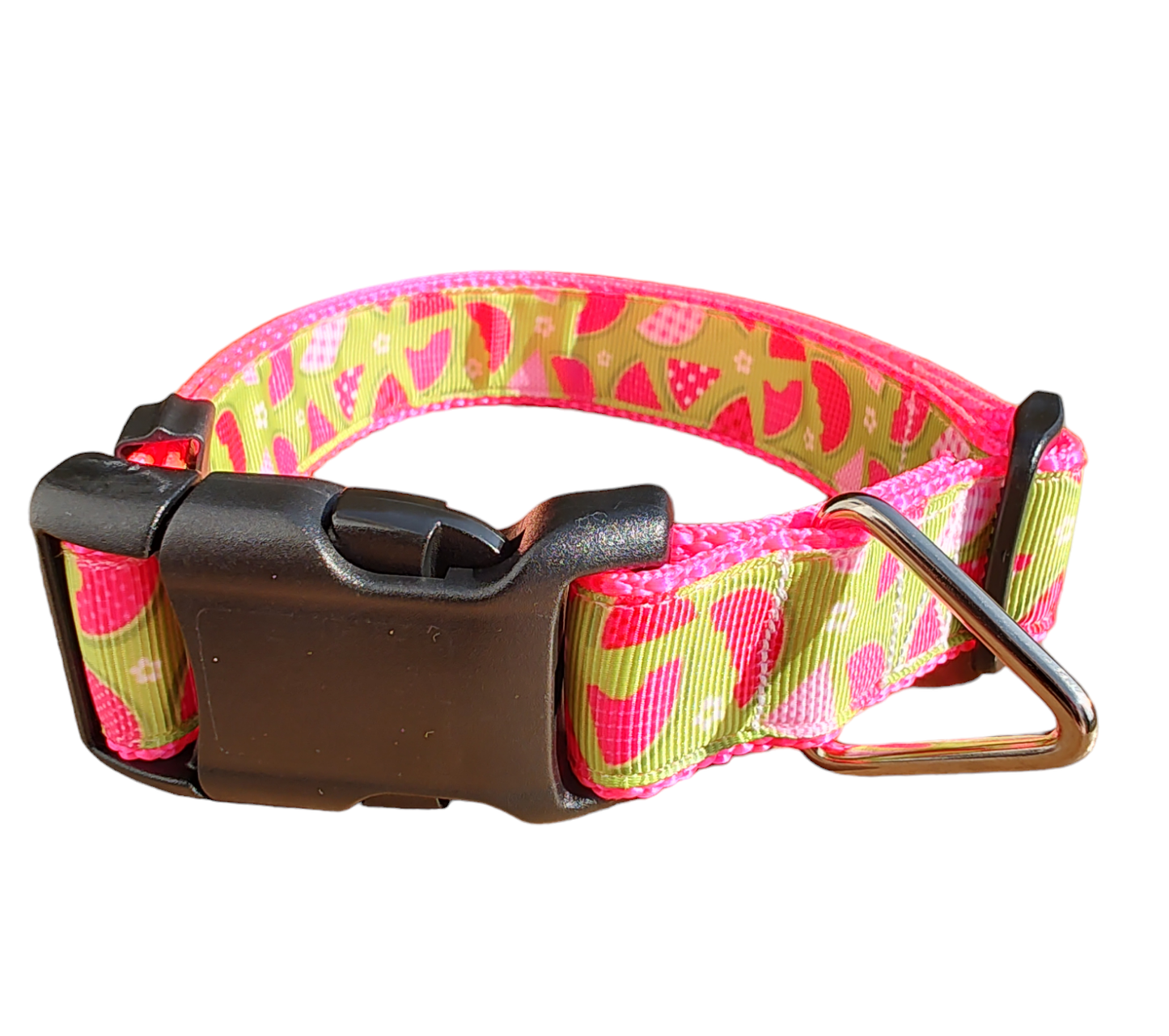 Watermelon Picnic Hot Pink Nylon Dog Collar MD, LG, XL, Leash - Doot's Pet LLC Collars For A Cause