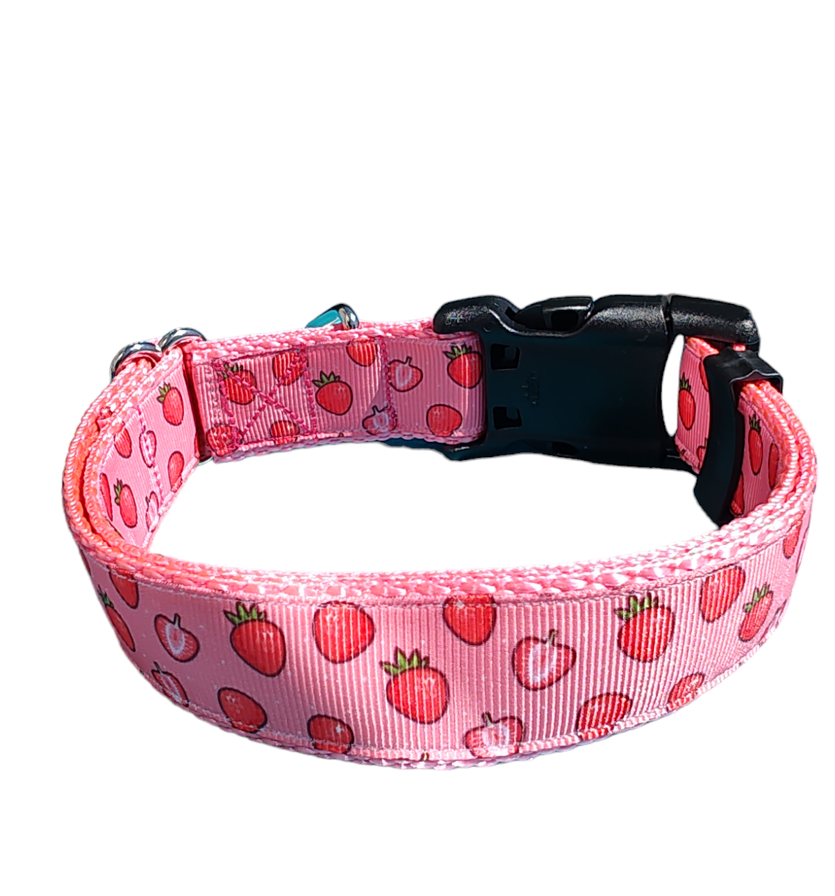Strawberry Slice Pink Nylon Dog Collar MD, LG, XL, Leash - Doot's Pet LLC Collars For A Cause