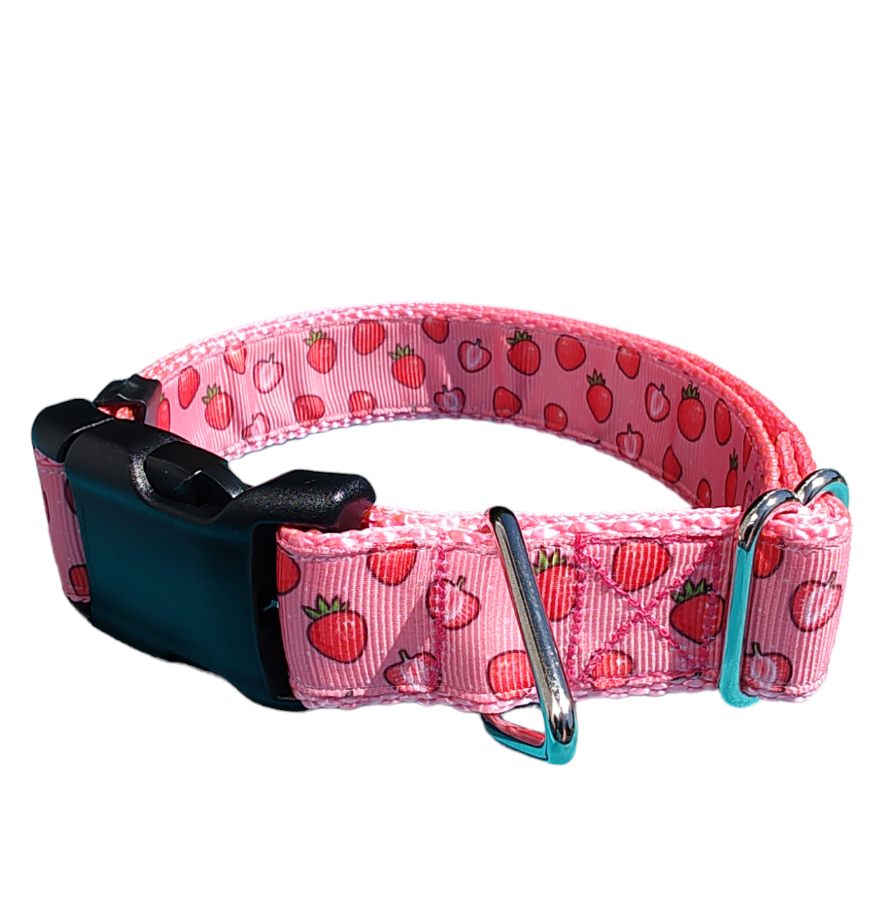 Strawberry Slice Pink Nylon Dog Collar MD, LG, XL, Leash - Doot's Pet LLC Collars For A Cause