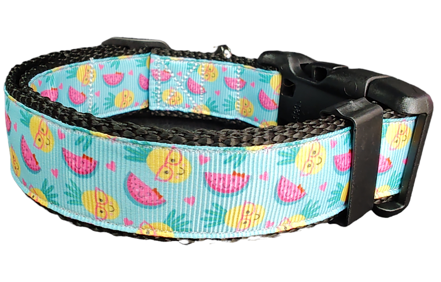 Fruit Party Nylon Dog Collar - Doot's Pet LLC Collars For A Cause