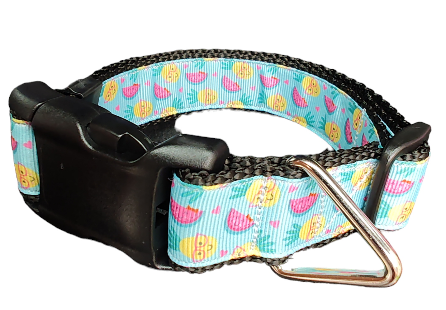Fruit Party Nylon Dog Collar - Doot's Pet LLC Collars For A Cause