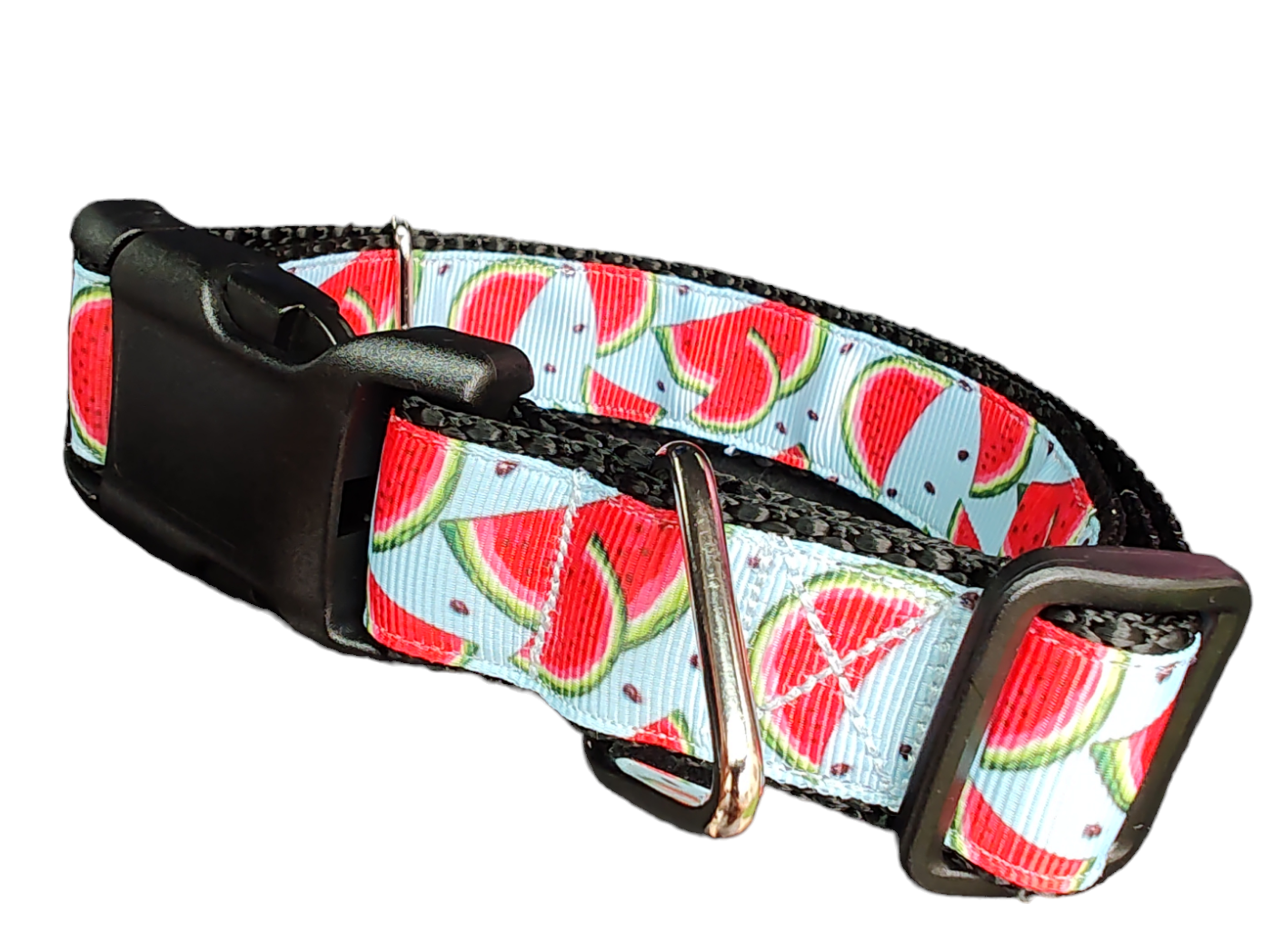 Watermelon Slices Nylon Dog Collar - Doot's Pet LLC Collars For A Cause