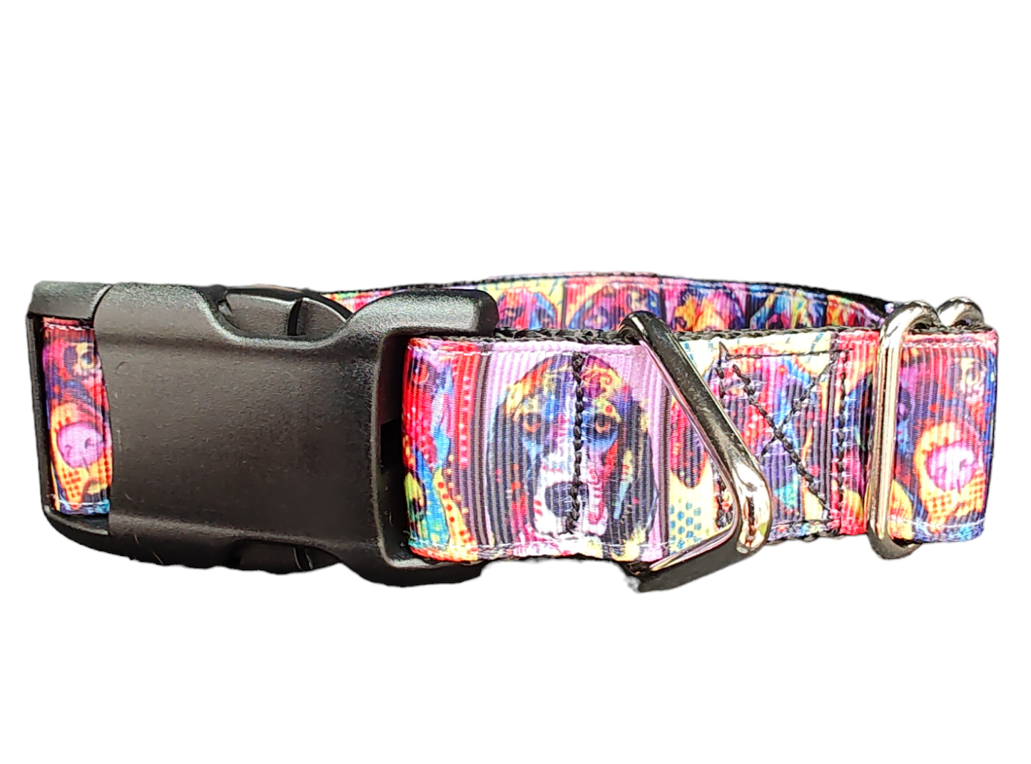 Rainbow Pup Portraits Nylon Dog Collar - Doot's Pet LLC Collars For A Cause