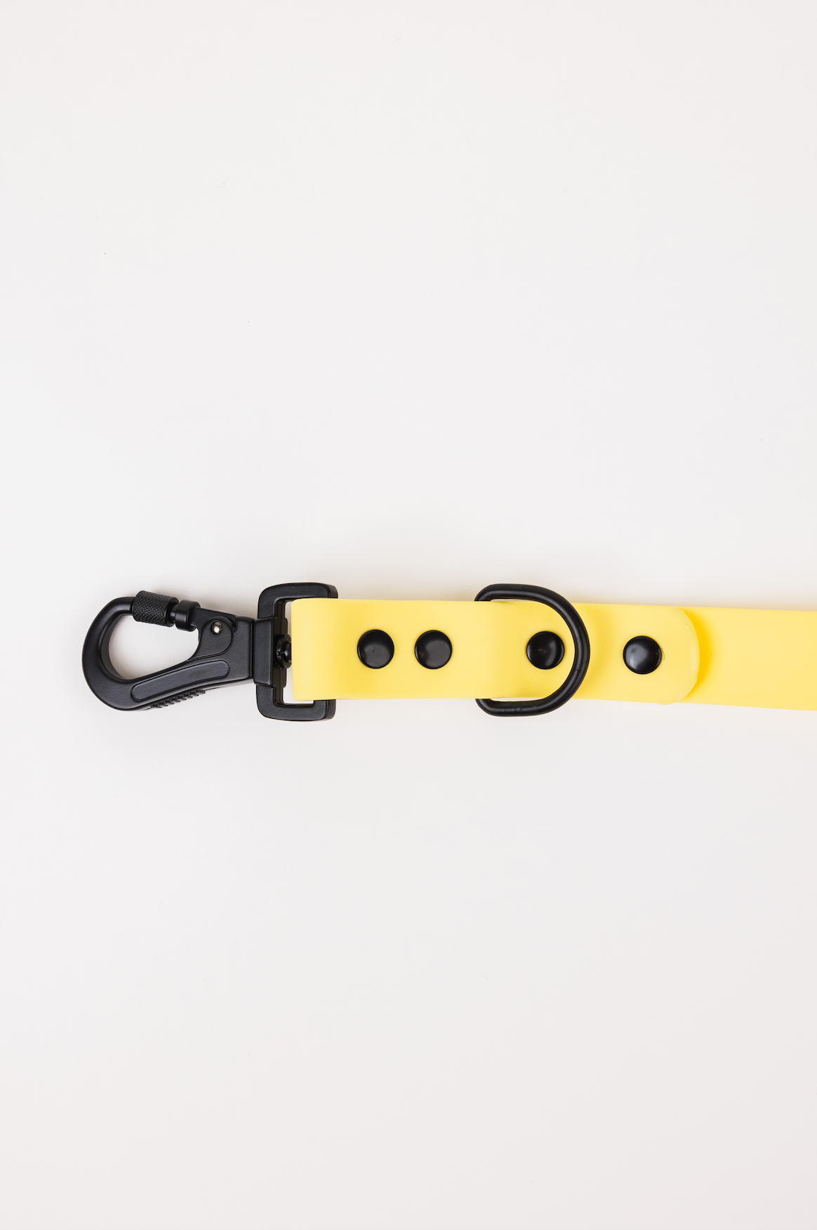 The Modern Dog Company - Daffodil Yellow Adjustable Leash - Doot's Pet LLC Collars For A Cause