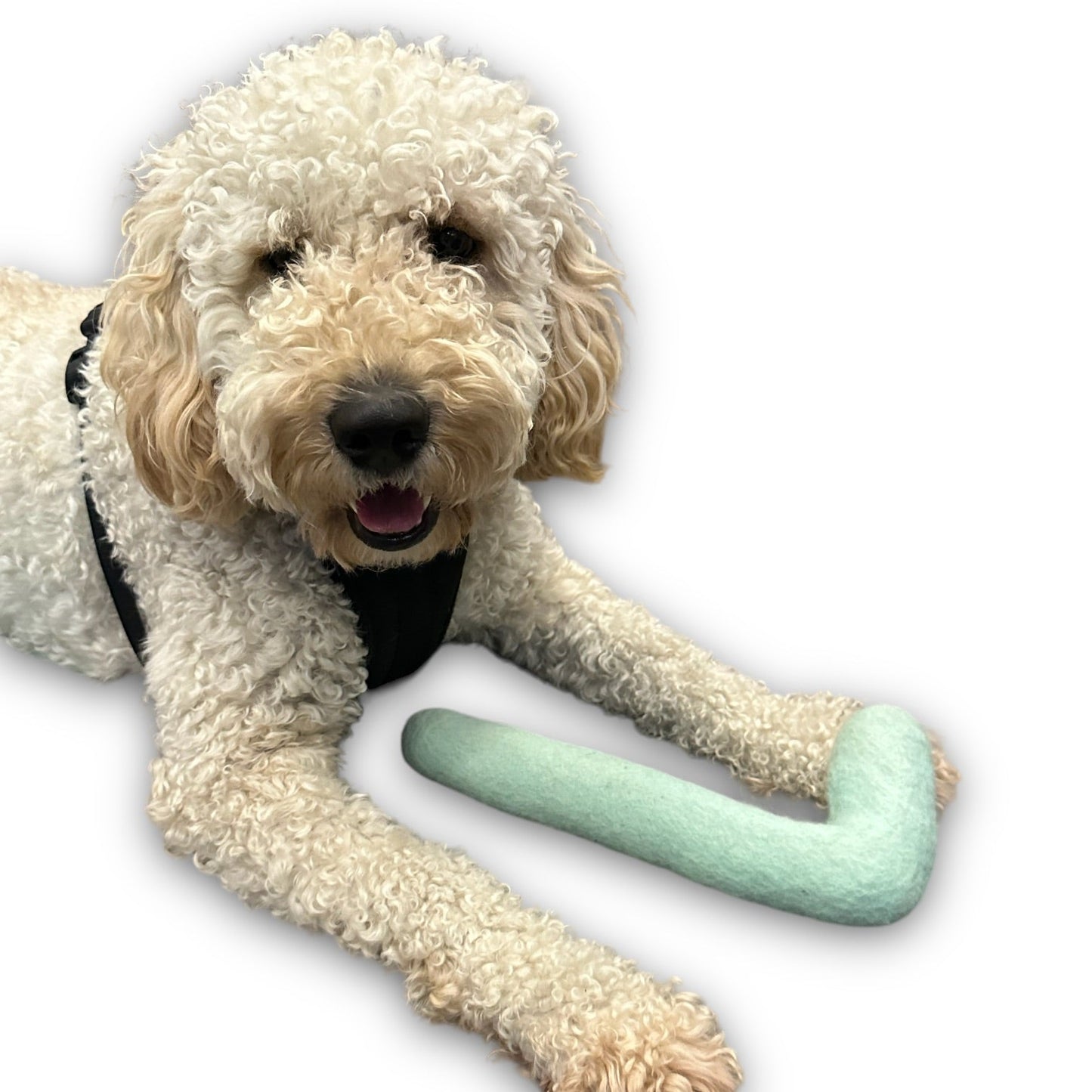 Tube Felt Dog Toy - Doot's Pet LLC Collars For A Cause