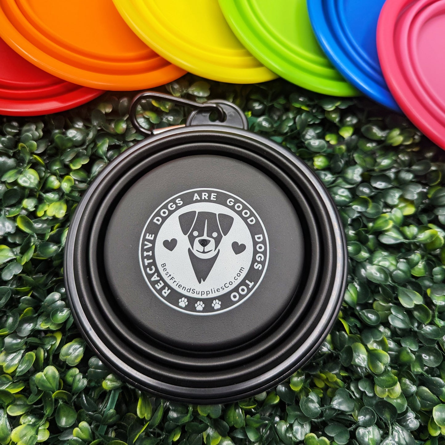 Collapsible Water Bowl