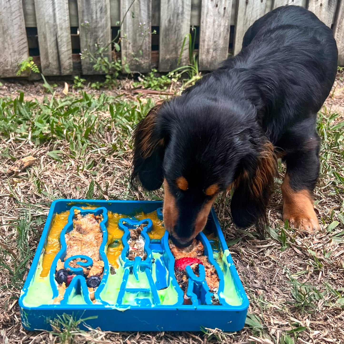 SodaPup - Waiting Dogs Design eTray Enrichment Tray for Dogs