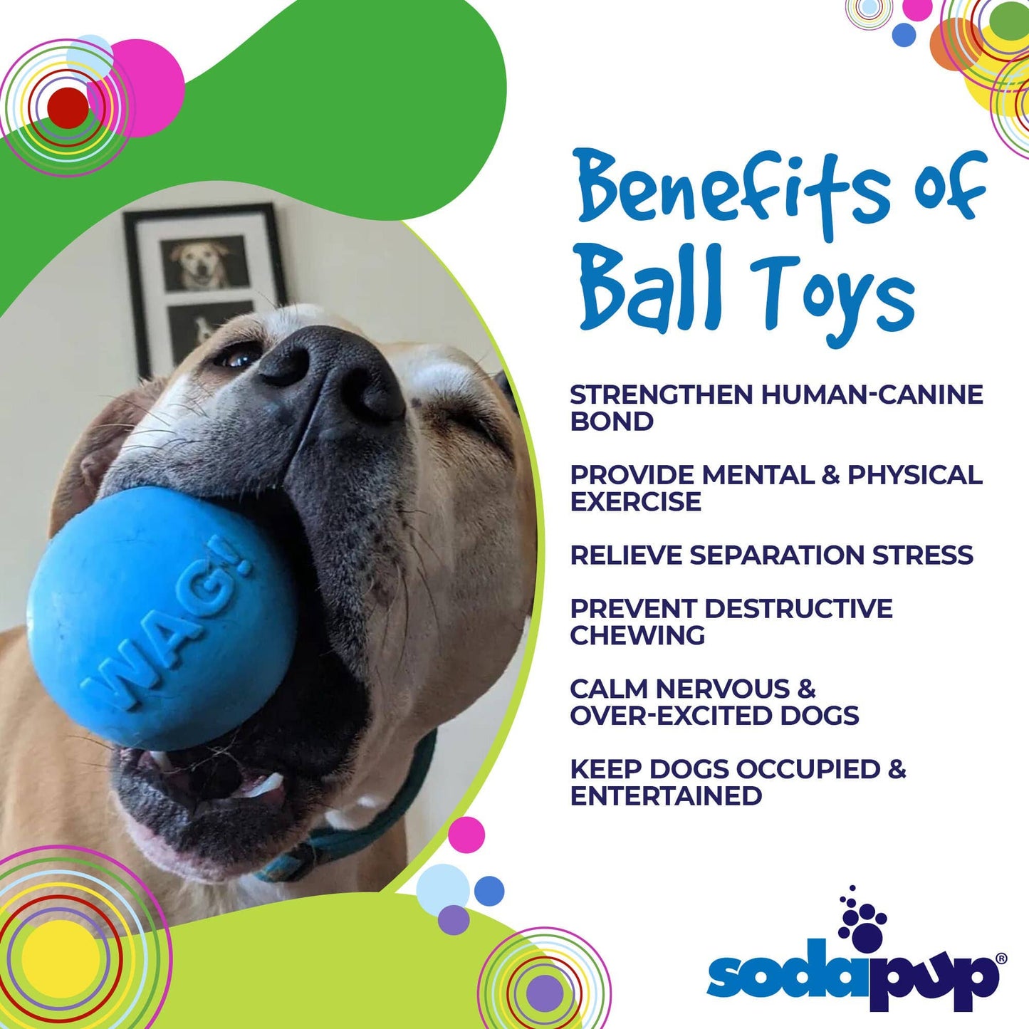 SodaPup - Wag Ball Durable Synthetic Rubber Chew & Retrieving Toy