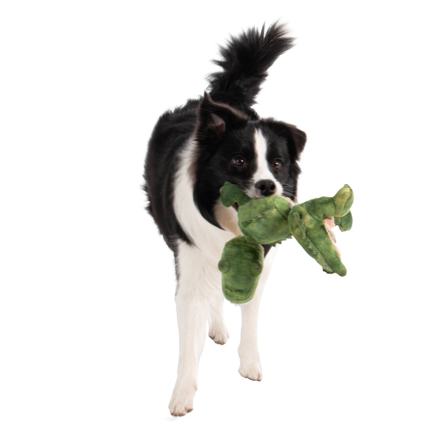 Tall Tails - Tall Tails Gator Jointed Shake Play Dog Toy