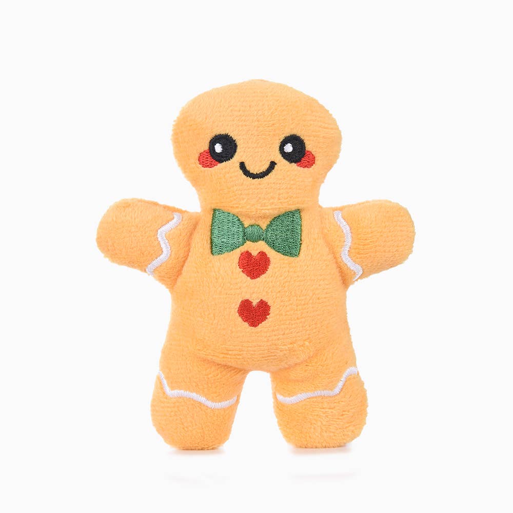 Hugsmart Products Inc - HugSmart Pet - Happy Woofmas | Gingerbread Latte