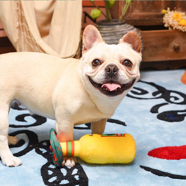 Hugsmart Products Inc - HugSmart Pet - Fiesta Chewsday | Tequila - Dog Plush Toy