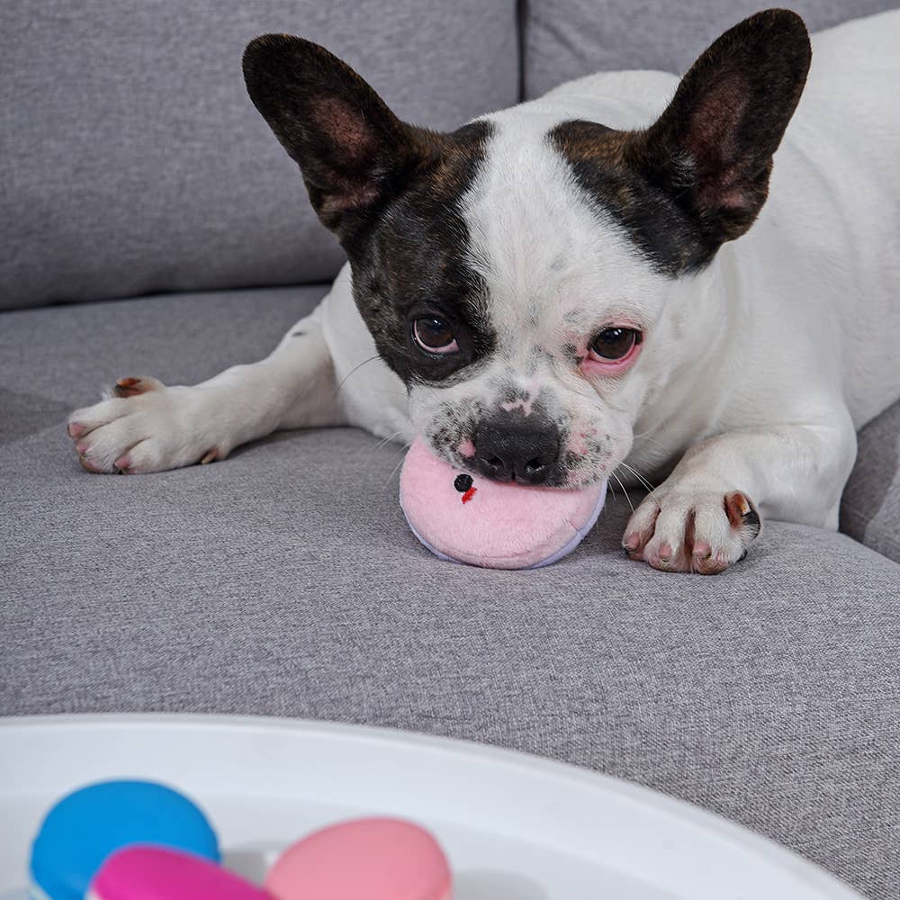 Hugsmart Products Inc - HugSmart Pet - Pooch Sweets | Macarons - Interactive Toy