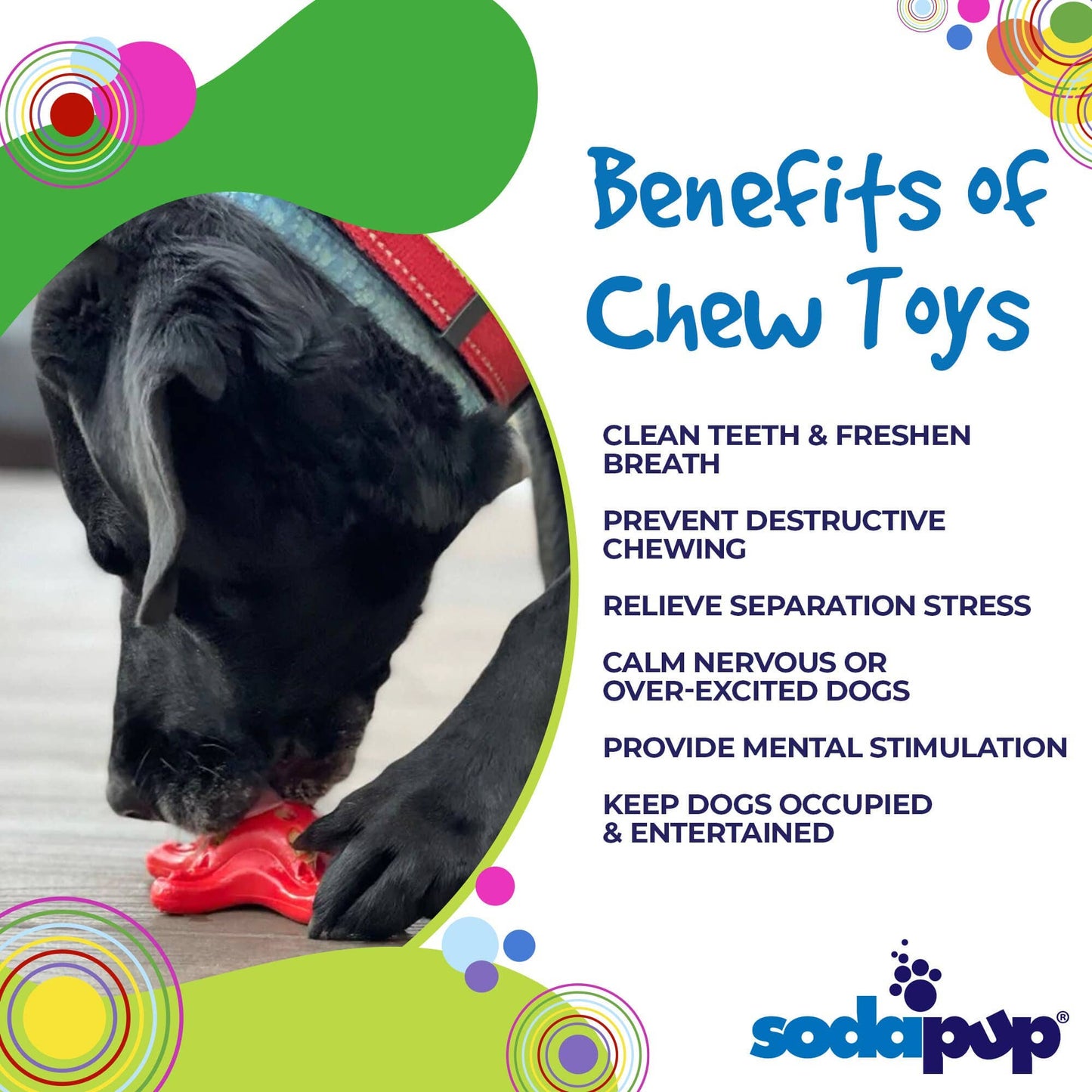 SodaPup - Starfish Ultra Durable Nylon Dog Chew Toy - Red - RED