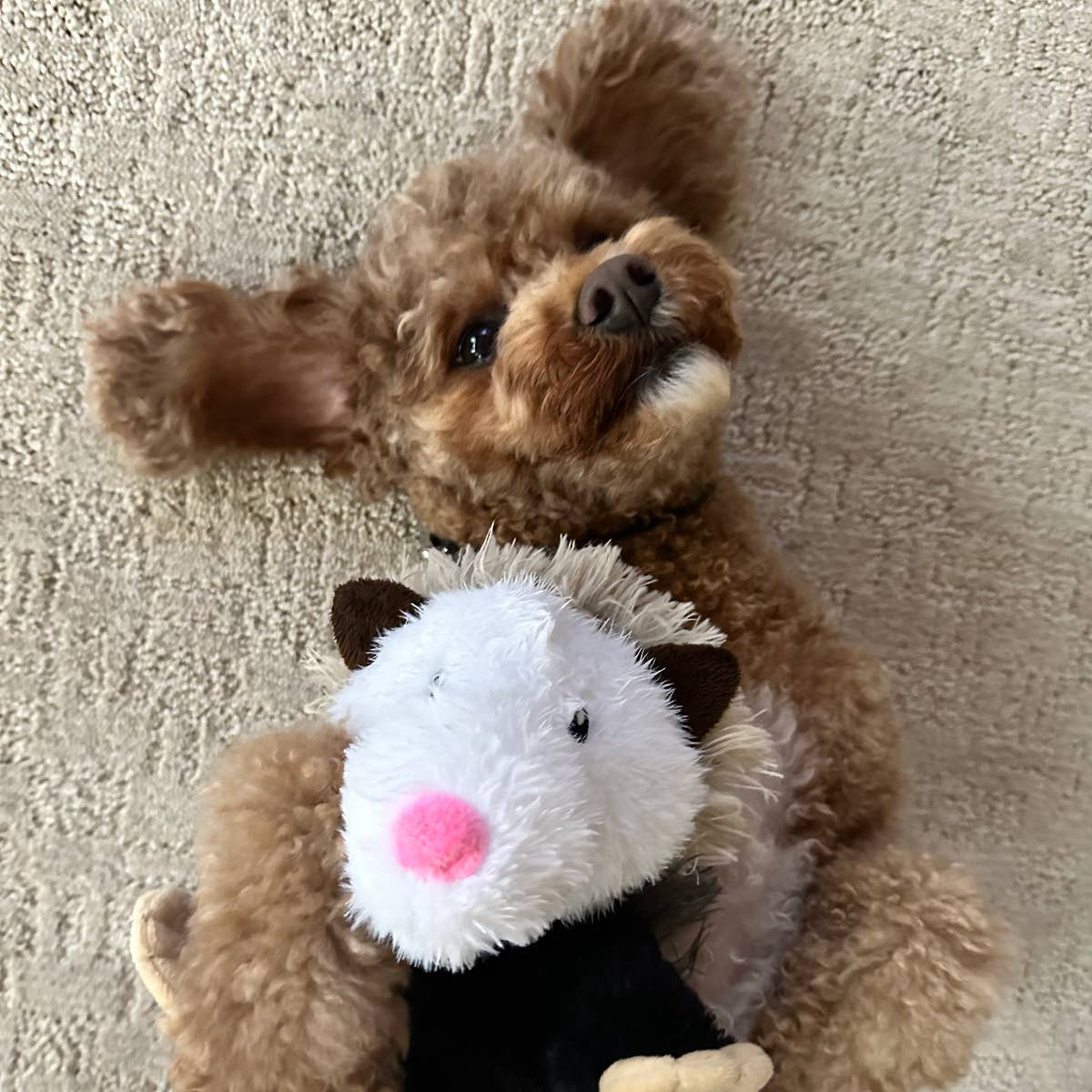 Tall Tails - Possum Rope Body Dog Toy