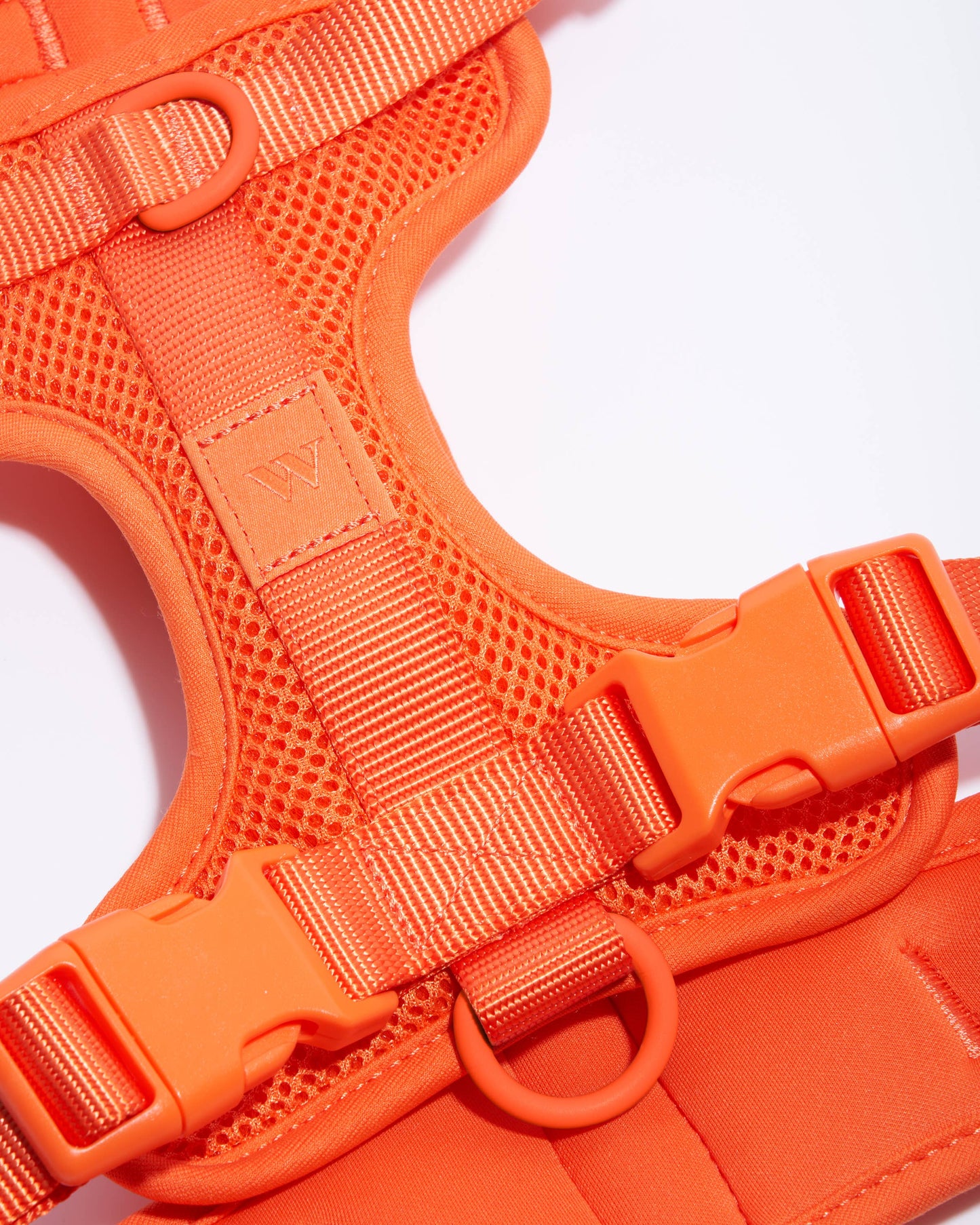 Wild One - Adjustable Comfort Dog Harness - Spruce