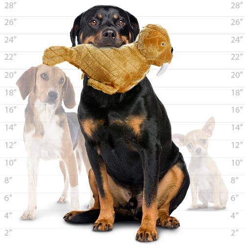 Tuffy Dog Toys - VIP Products - Mighty Arctic Walrus, Plush, Squeaky Dog Toy - Doot's Pet LLC Collars For A Cause