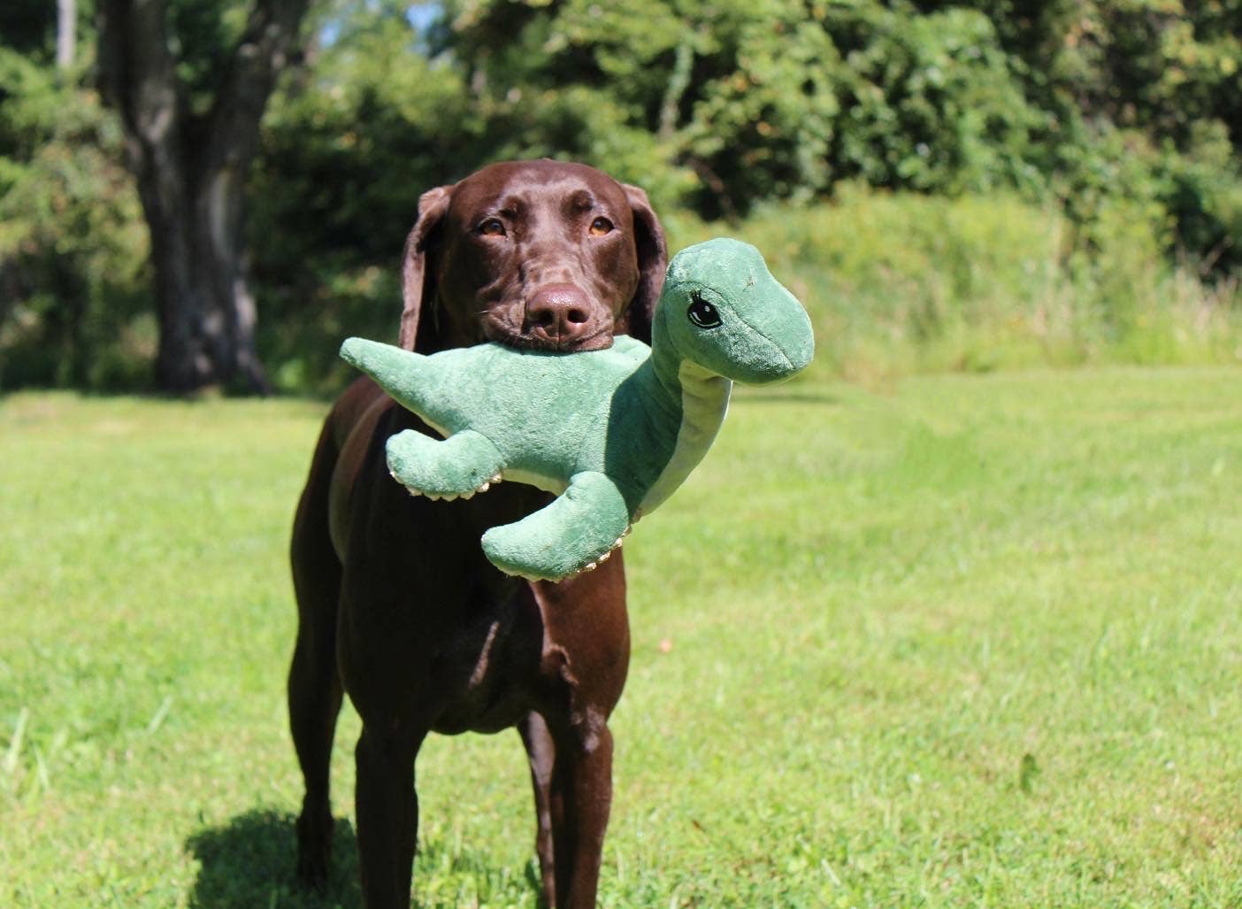 Tall Tails - Plush Nessie with Squeaker Dog Toy - 13"