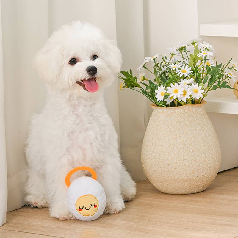 Hugsmart Products Inc - HugSmart Pet -Hoppin' Easter | Good Egg - Dog Ball Toy