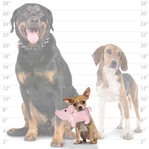 Tuffy Dog Toys - VIP Products - Mighty Jr Farm Piglet, Plush, Squeaky Dog Toy - Doot's Pet LLC Collars For A Cause