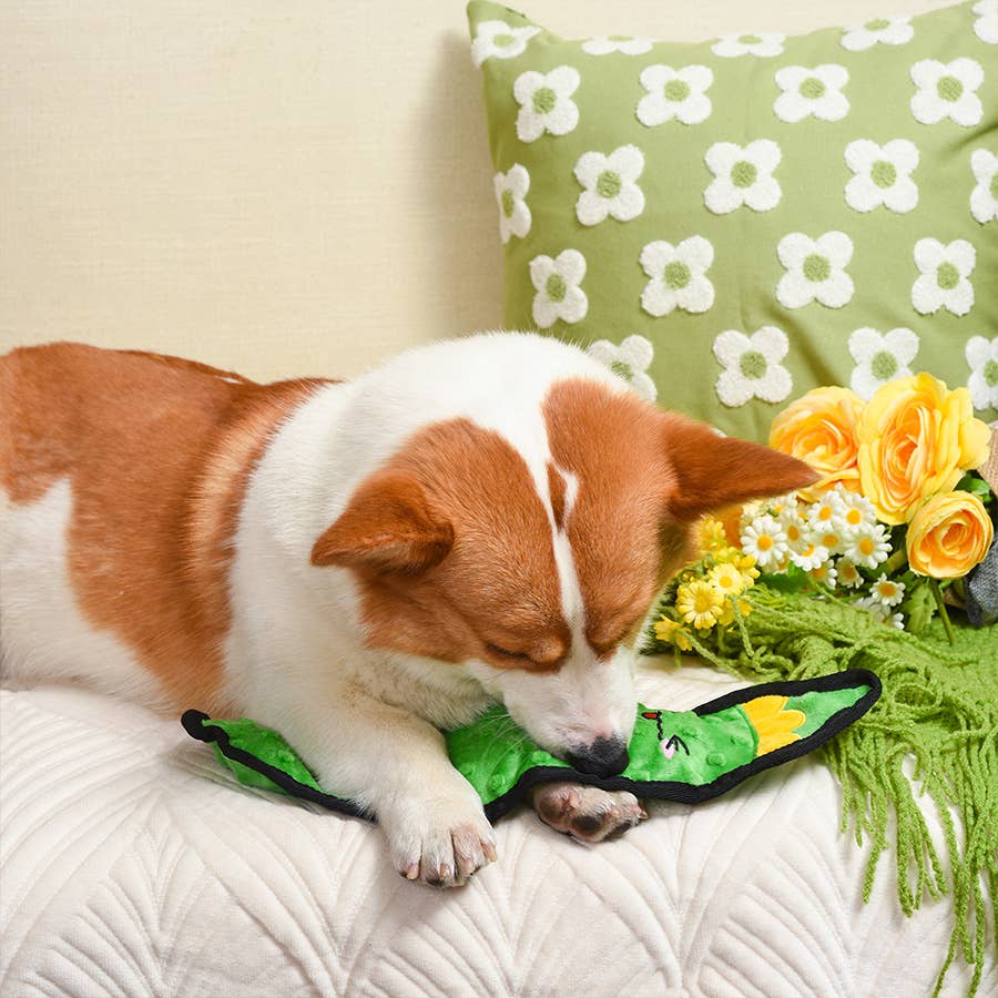 Hugsmart Products Inc - HugSmart Pet - Squeakin’ Vegetables | Pickle - Dog Plush Toy