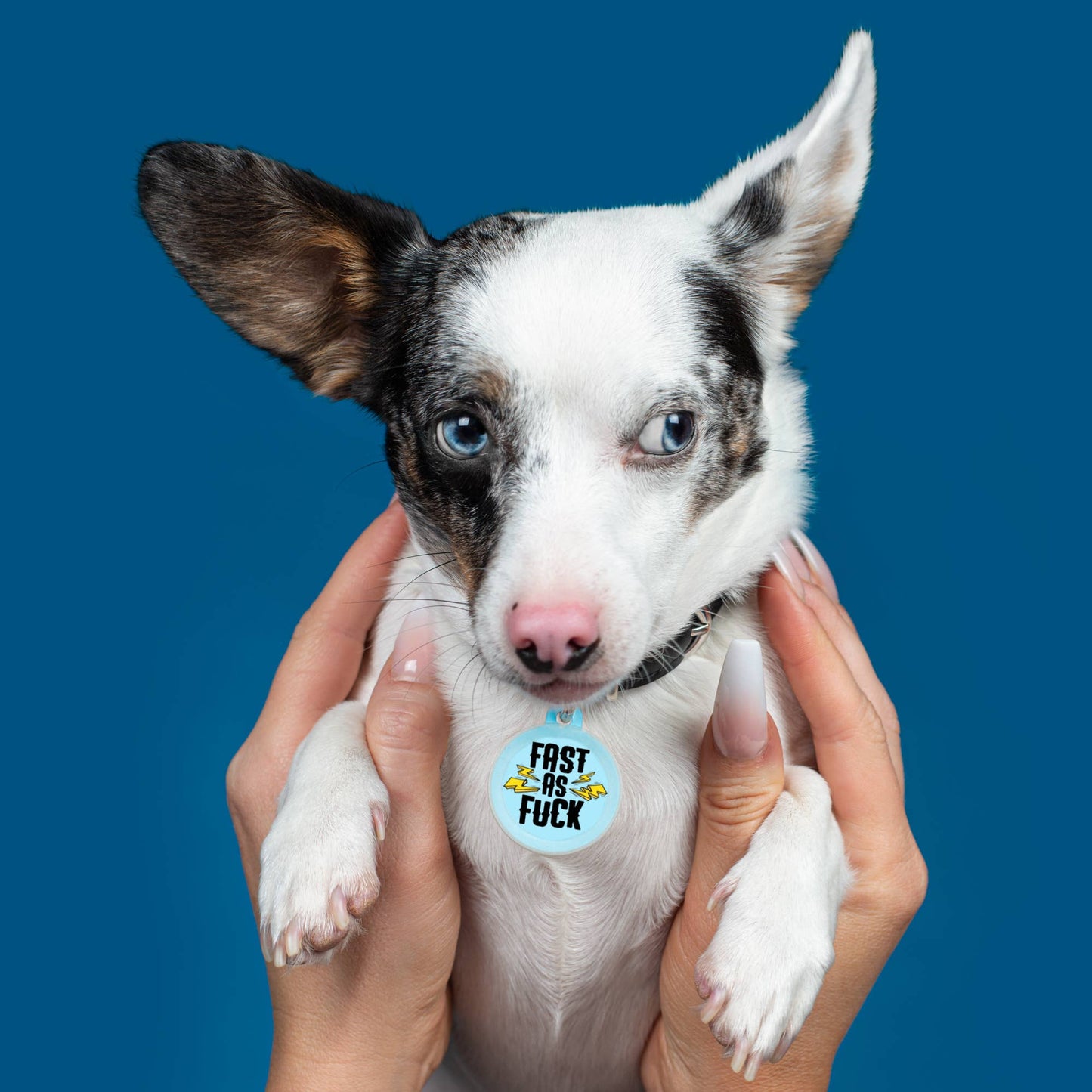 Bad Tags - Personalized Dog ID Tag w/ Scannable QR Code - Fast as Fuck - Engraved QR Code / Large 1.25"