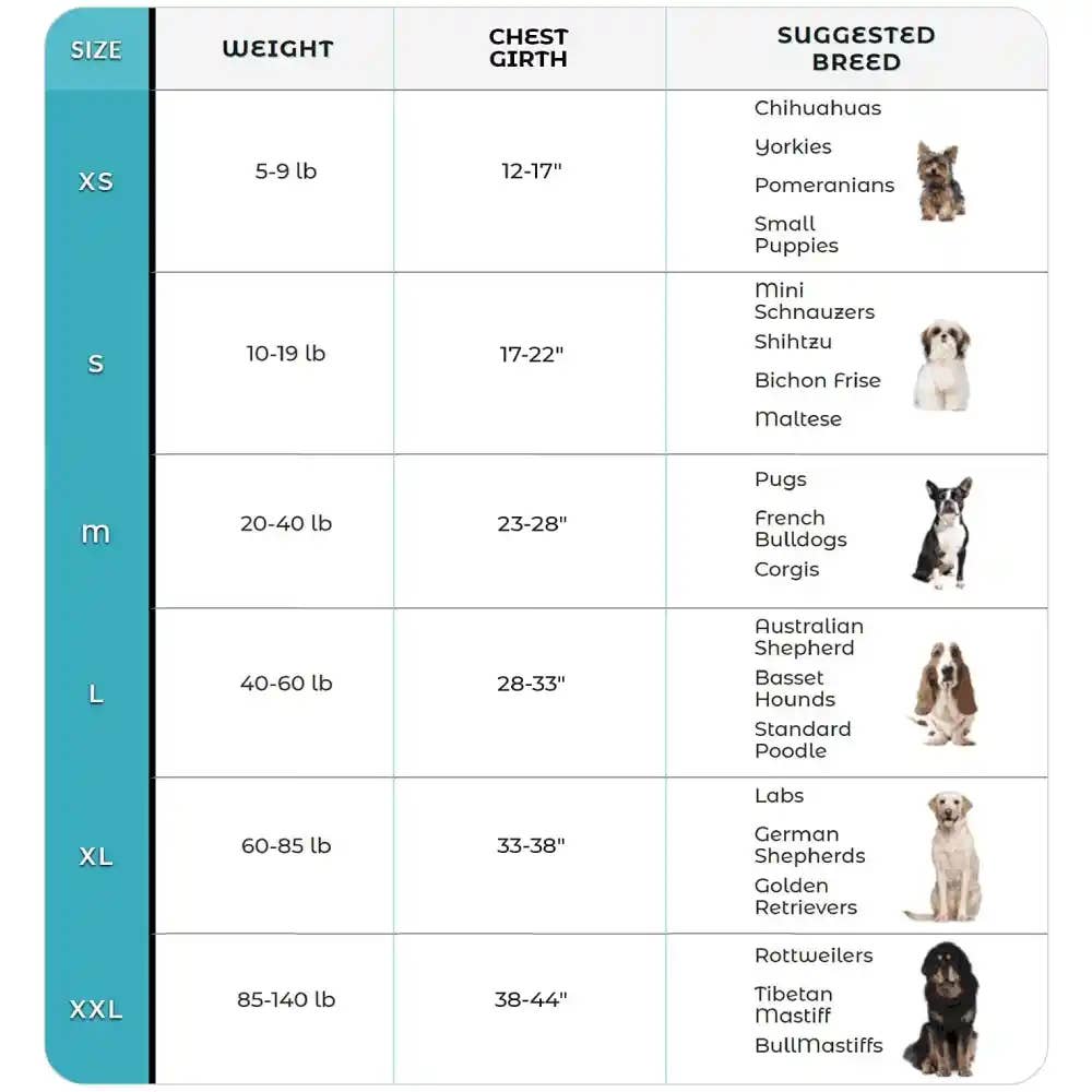 Joyride Harness - Paw Polka Dots Joyride Basic Essential Dog Harness 1.0 - XL