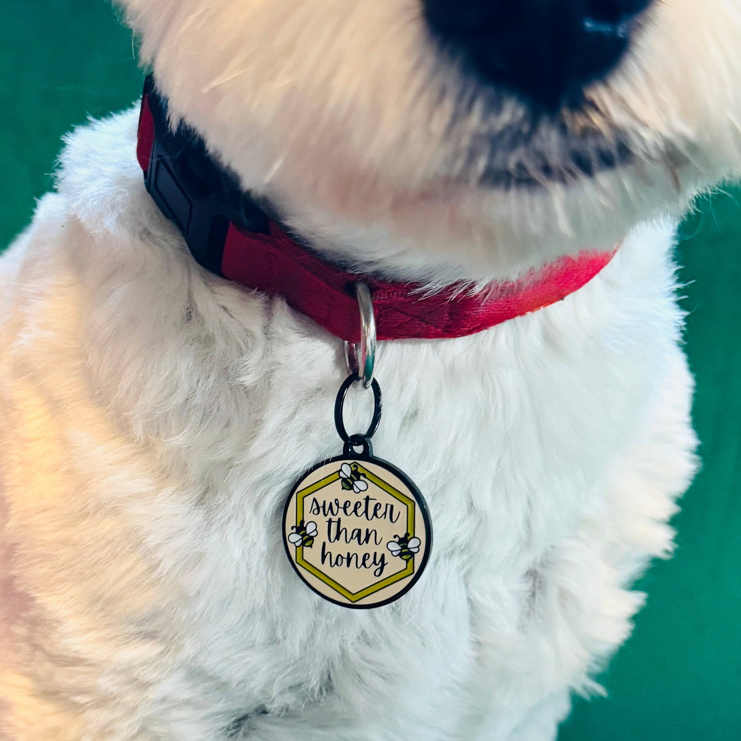Koira - “Hello, My Name Is: The Goodest Boy” Teal Dog ID Tag